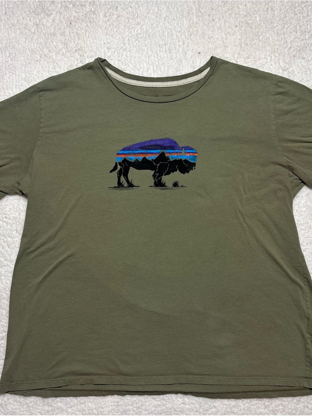 Patagonia Fitz Roy Bison Buffalo Graphic T Shirt Boys Size XL